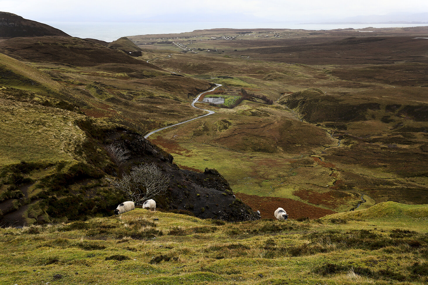 Scotland_2020_1469.jpg