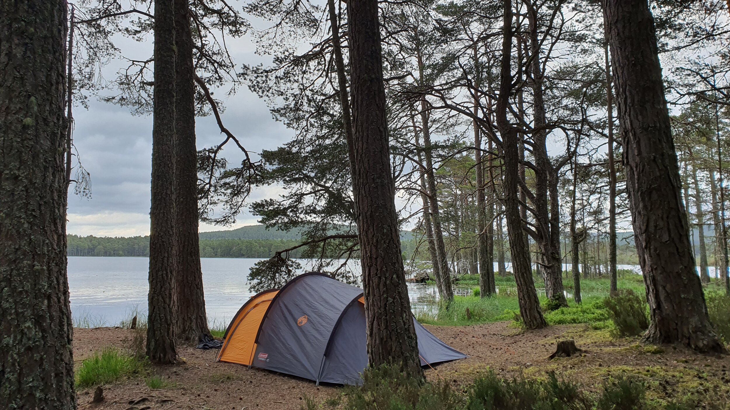 camping at loch garten.jpg