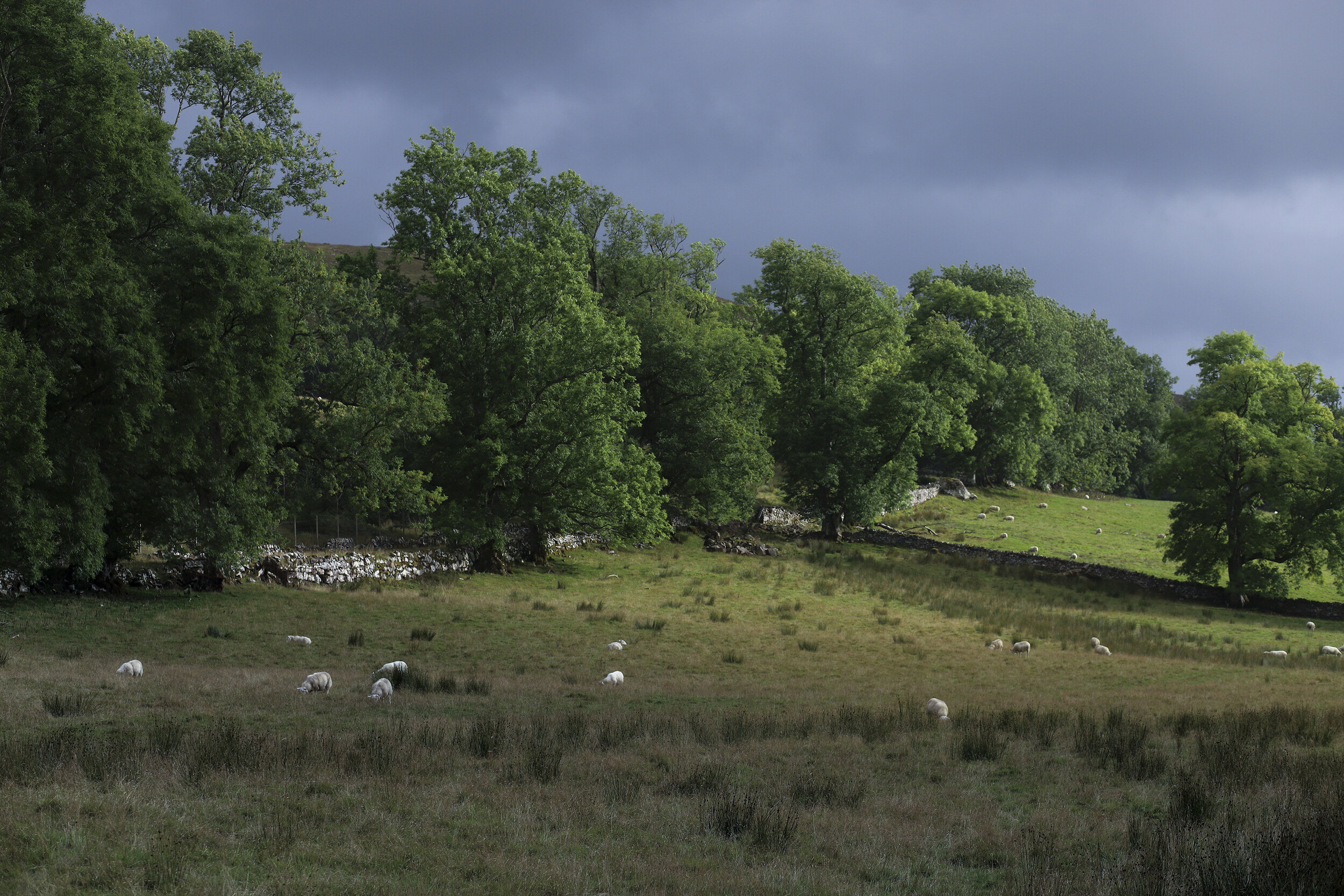 Scotland_2021_1003.jpg