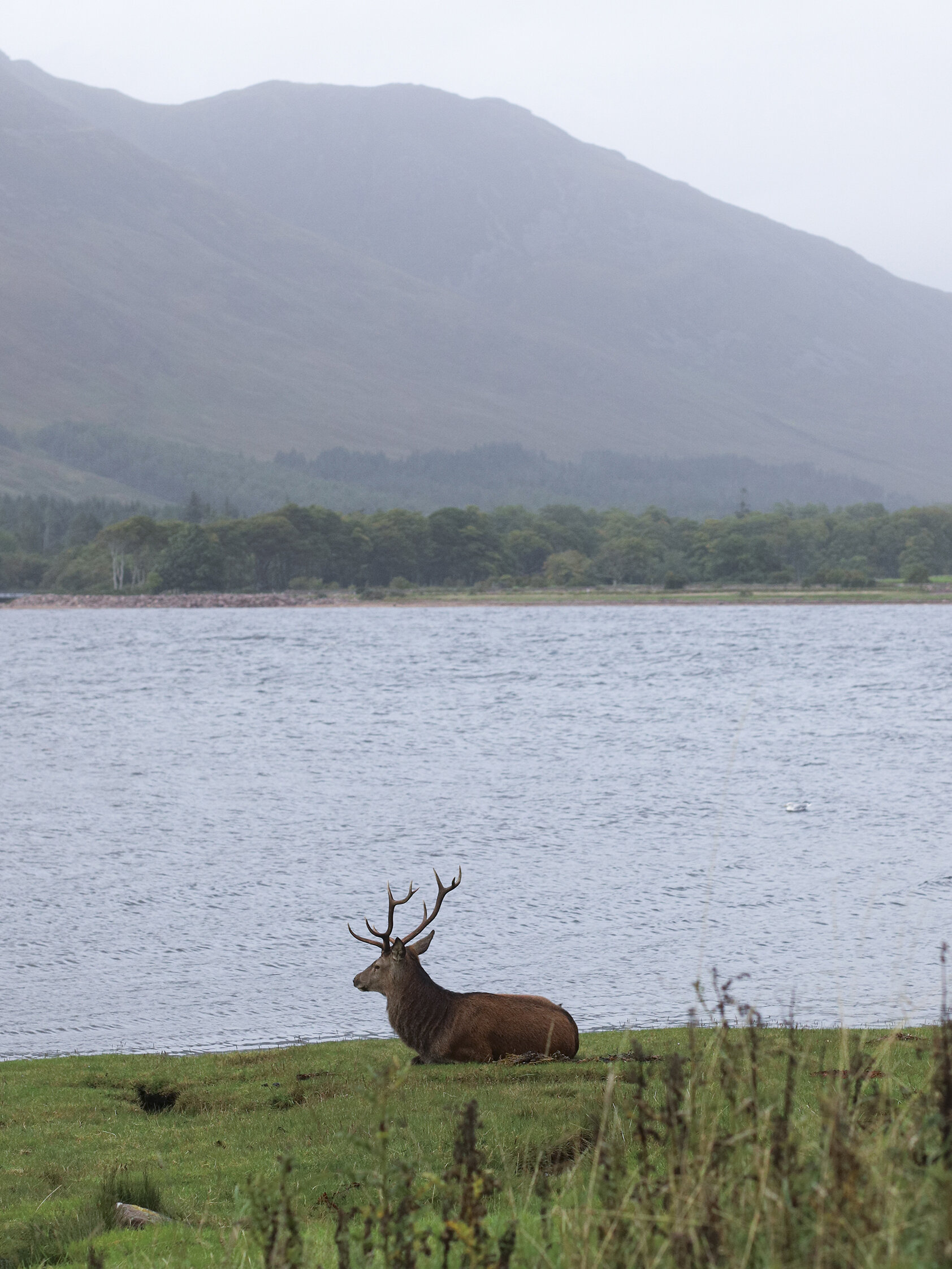 Scotland_2021_1012.jpg