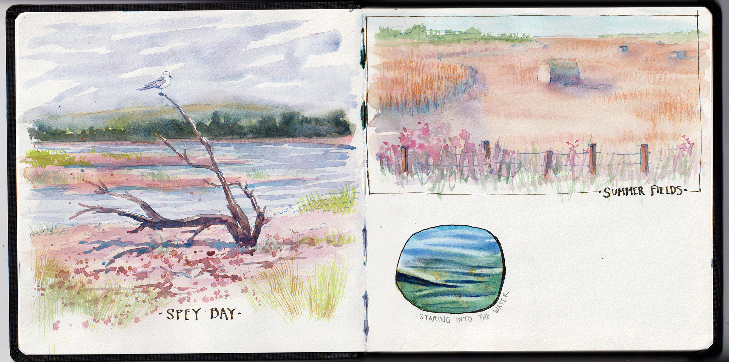 Sarah Burns Moray Coast Hahnemuhle 2.png
