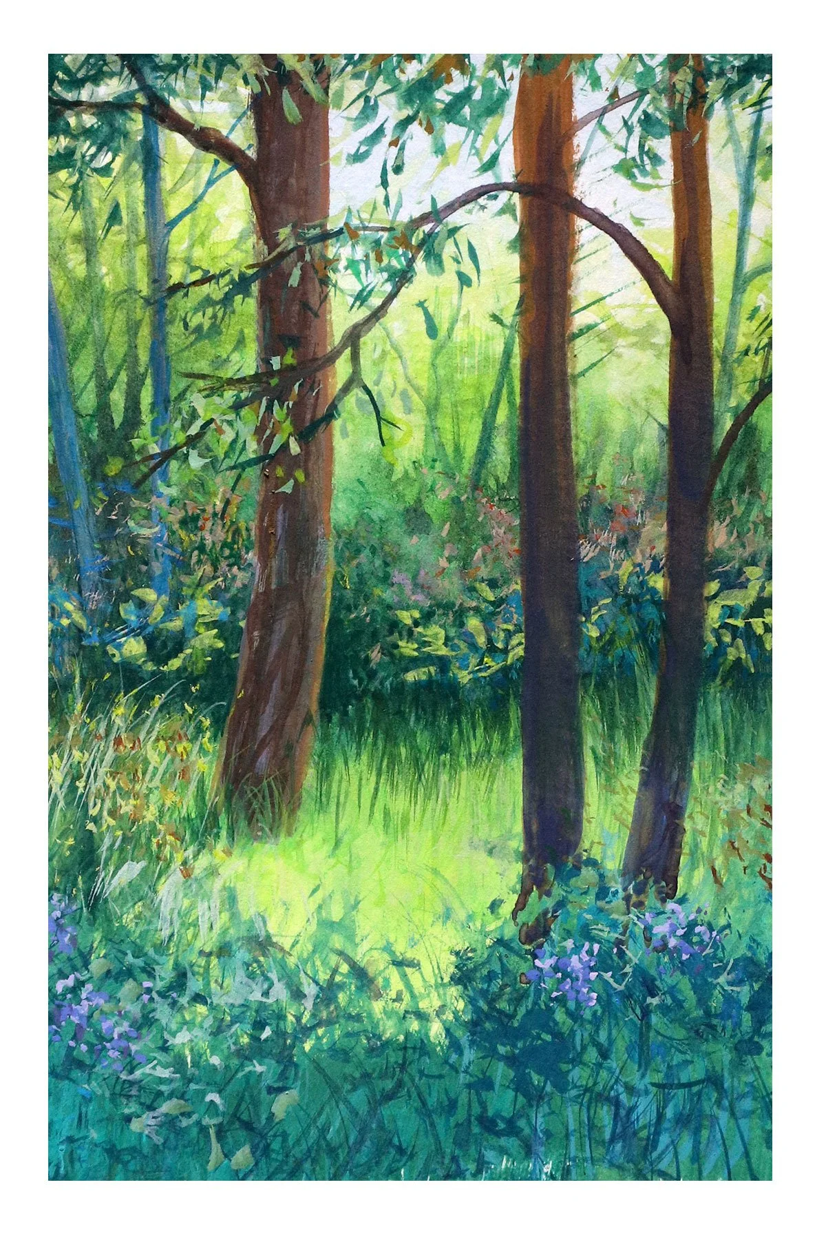 Forest Print Bundle Great For Gifts Sarah Burns Scotland Art forest-print-bundle-great-for-gifts-sarah-burns-scotland-art