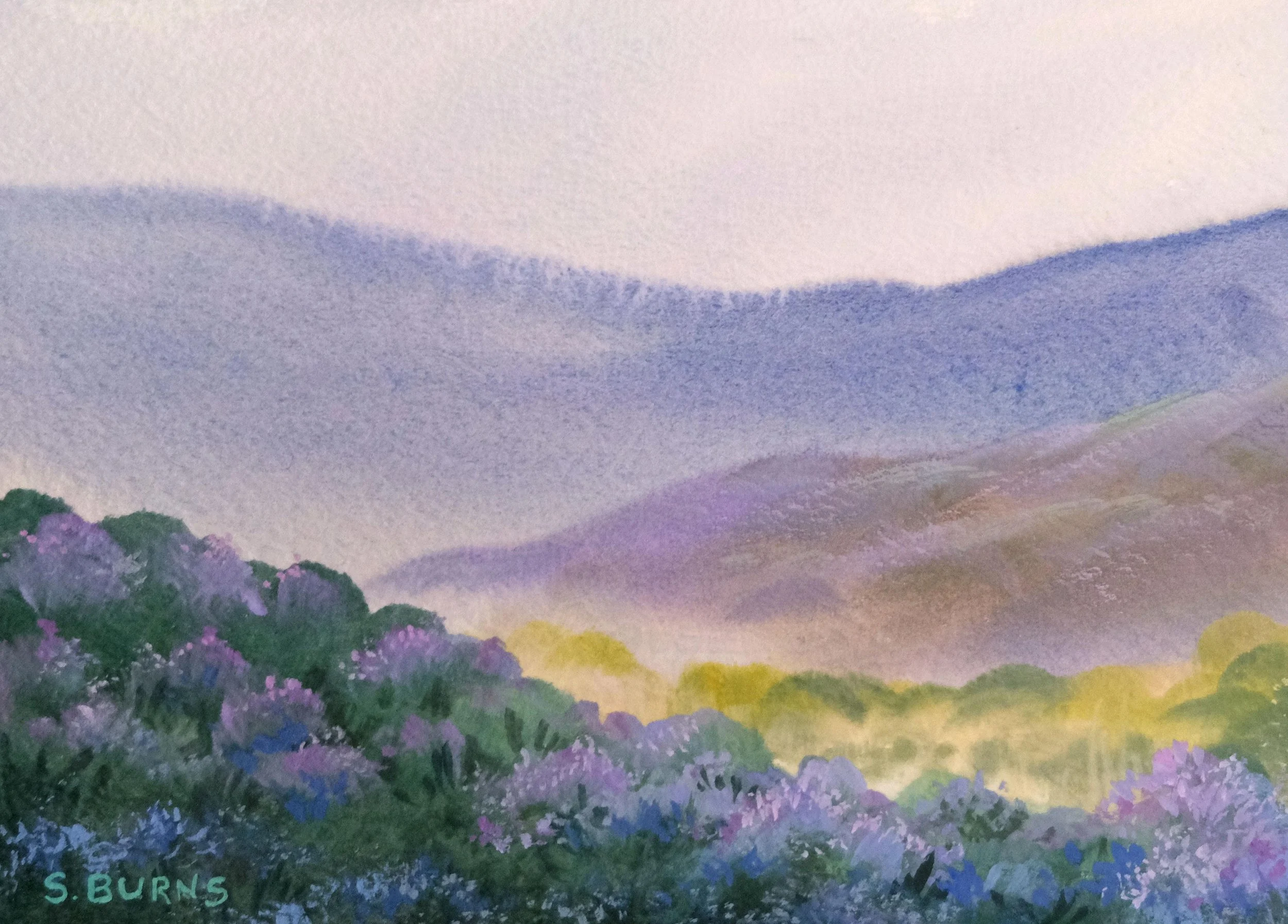 Misty Heather on the Moors
