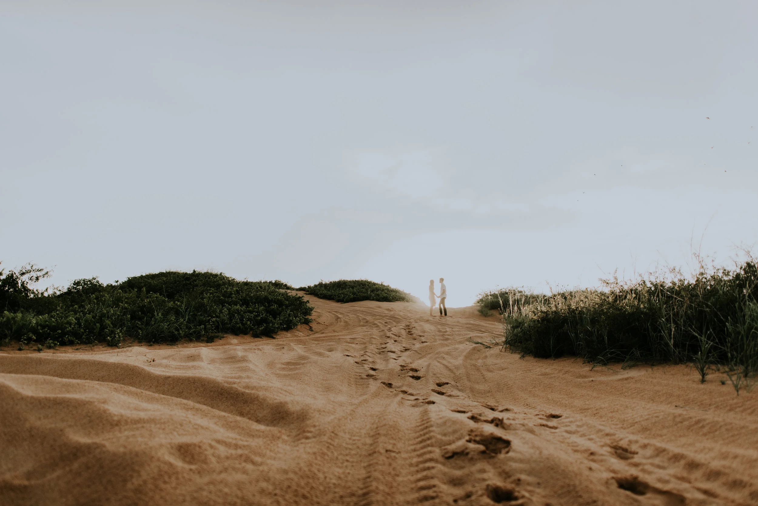 DSC_1330.jpg
