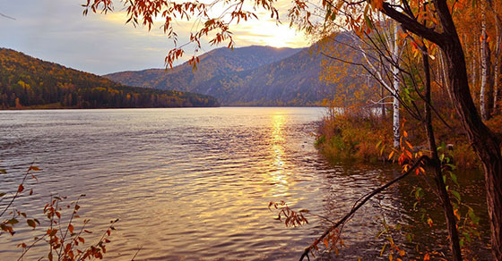 Leaves5-copy.jpg