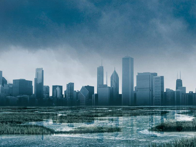 DivergentGallery800x600.jpg