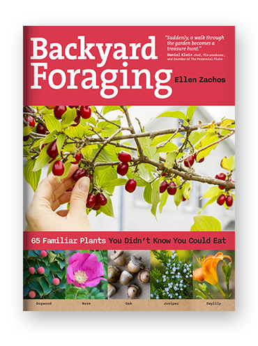 Backyard Foraging on Scribd