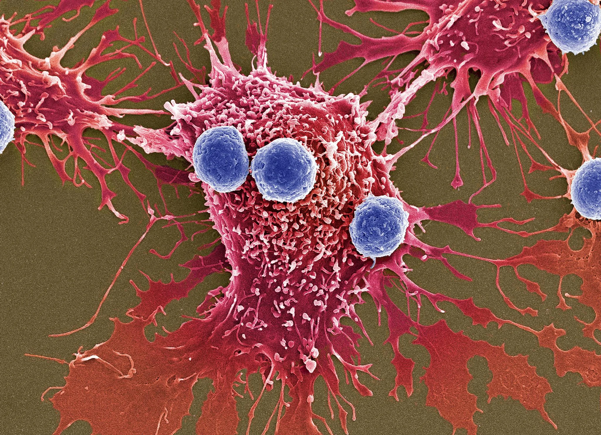 CancerLivingDrug.jpg