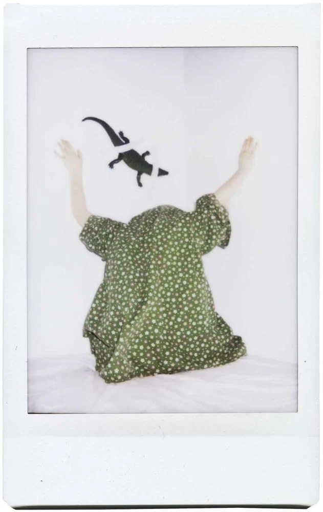 FUJIFILM JAPAN / 2013
