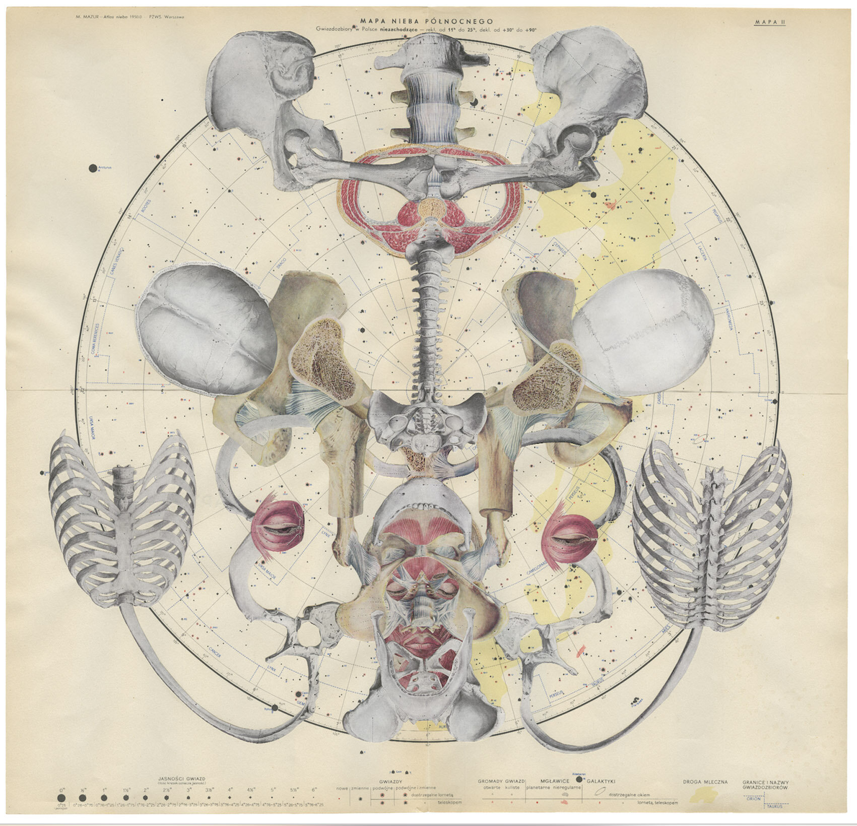 spirit spectrum #004 - collage - edition  12 + 2 AP