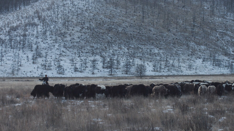 Screen Shot 2017-02-15 at 16.38.51.jpeg