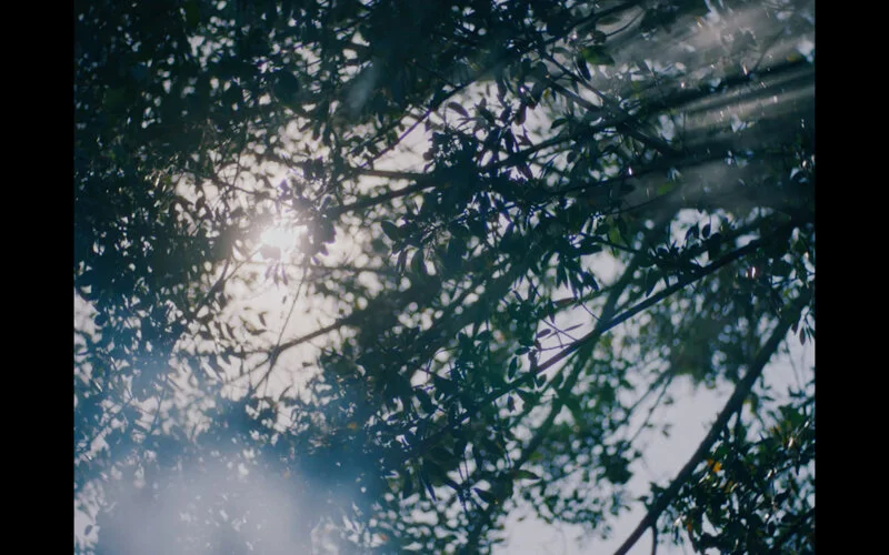 Screenshot 2020-02-06 at 15.27.29.jpeg