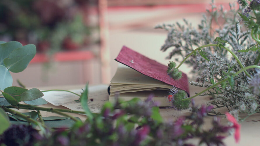 Screen Shot 2017-10-11 at 16.13.40.jpeg