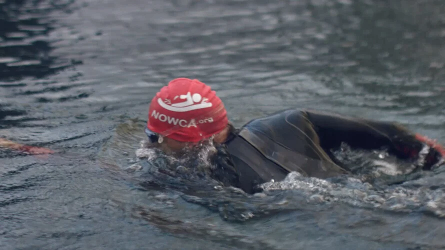 Screen Shot 2017-10-11 at 16.51.33.jpeg