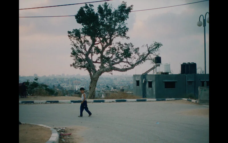 Screenshot 2020-02-06 at 15.34.53.jpeg