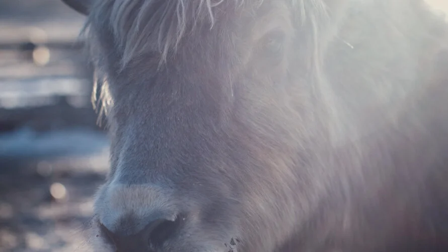 Screen Shot 2017-02-17 at 15.02.06.jpeg