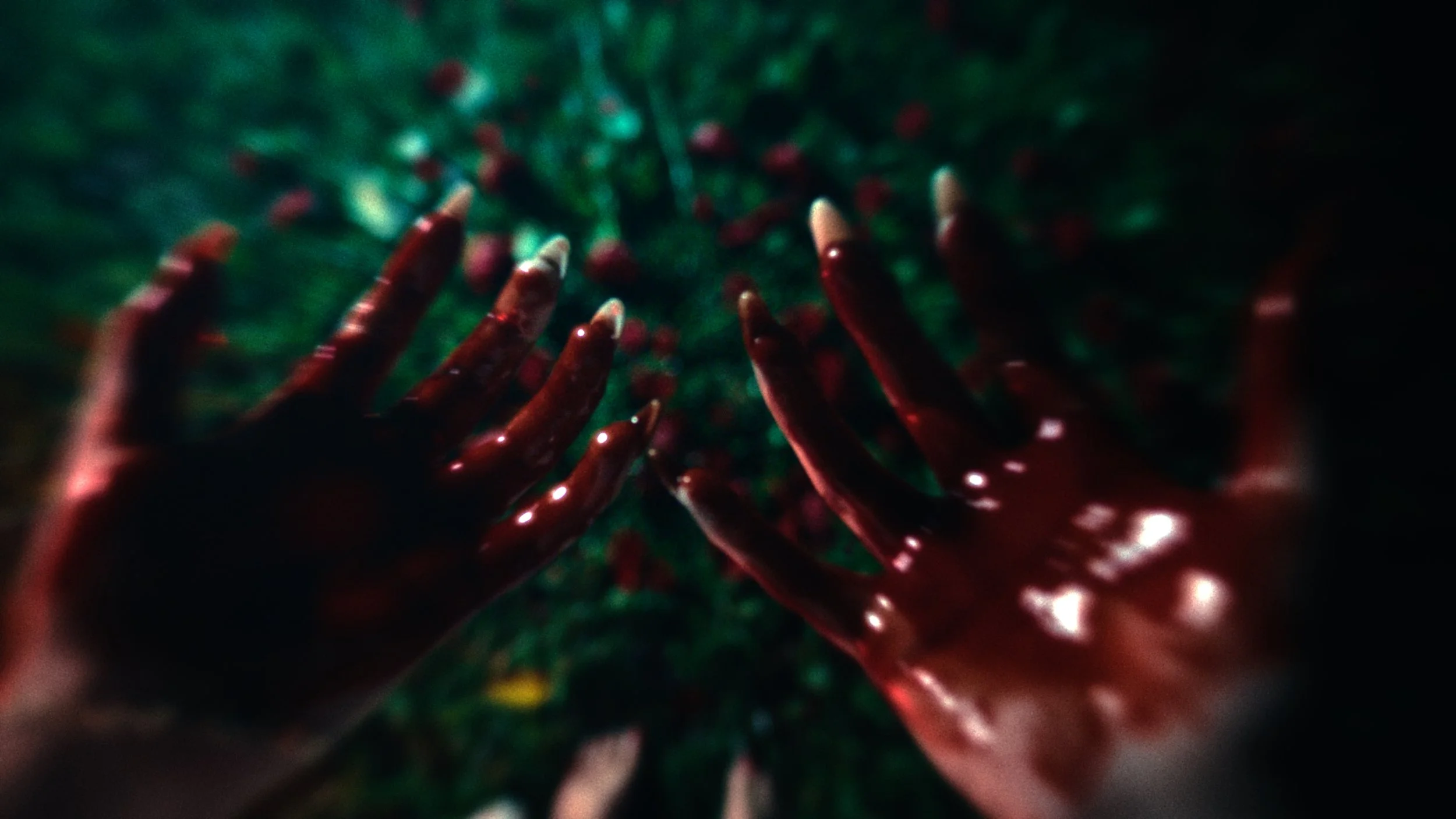 RED Lights - HQ Stills_1.94.1.jpg