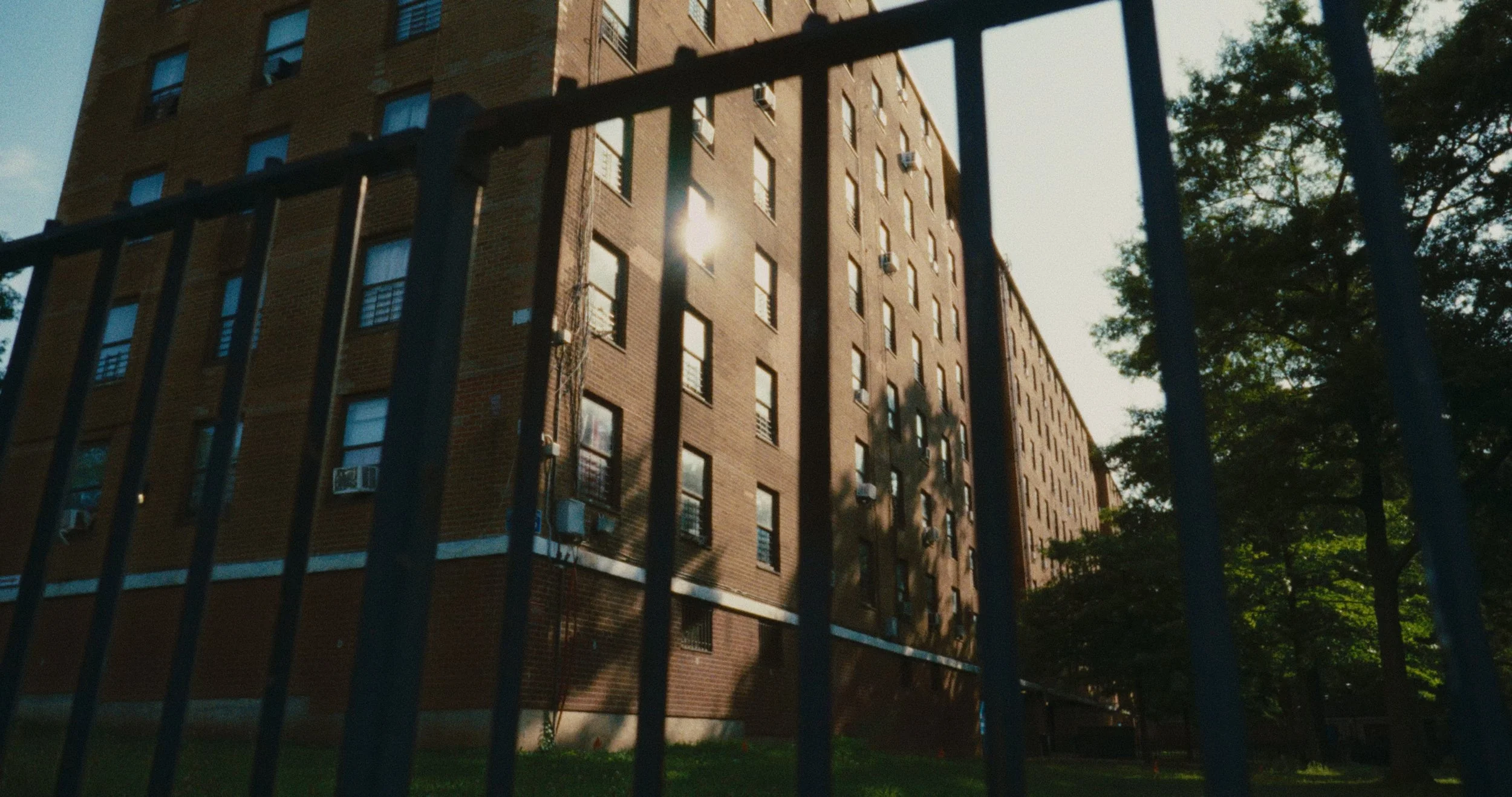 Still 2025-08-06 102053_1.1.4.jpg