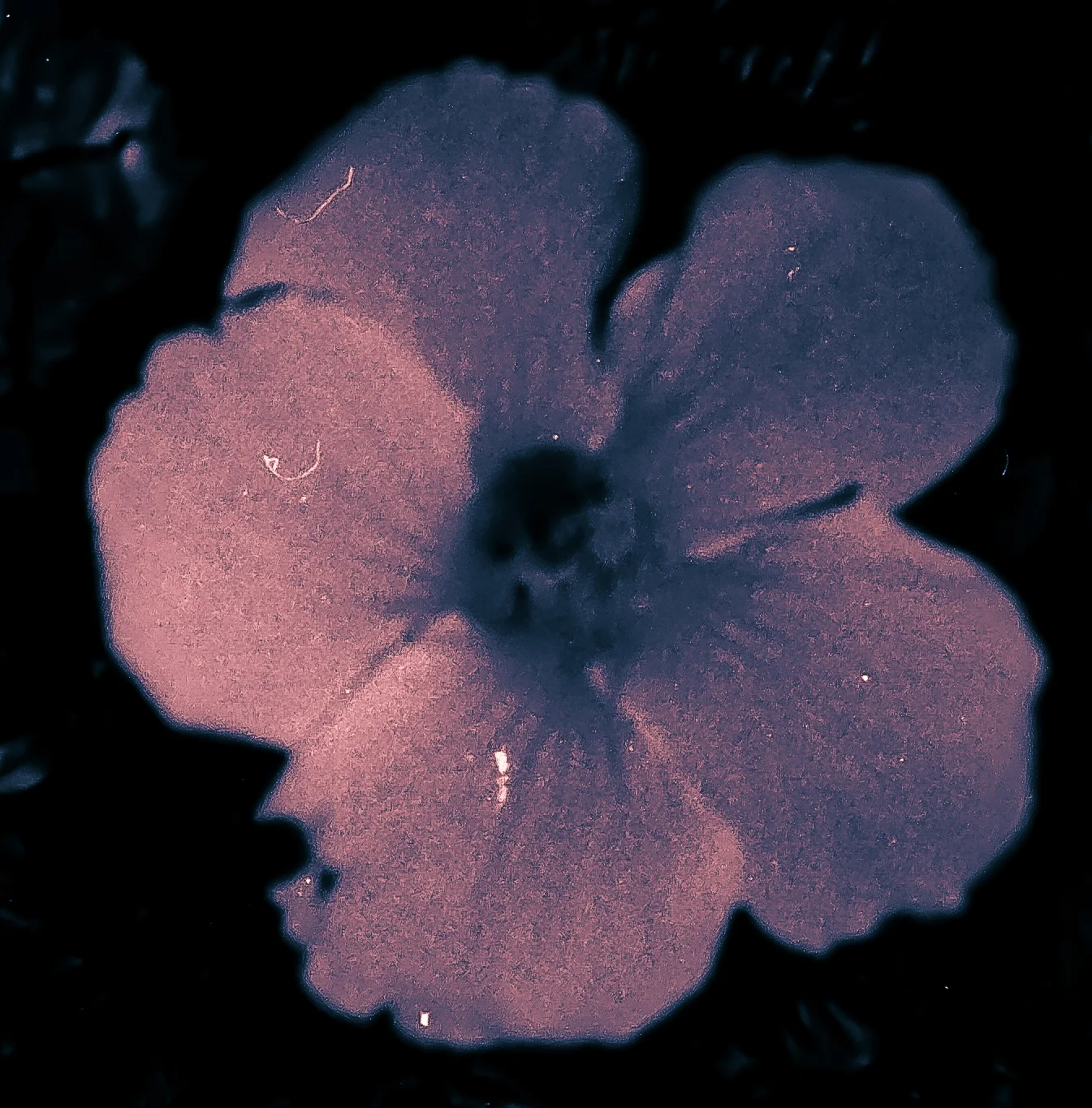 img540-3.jpg
