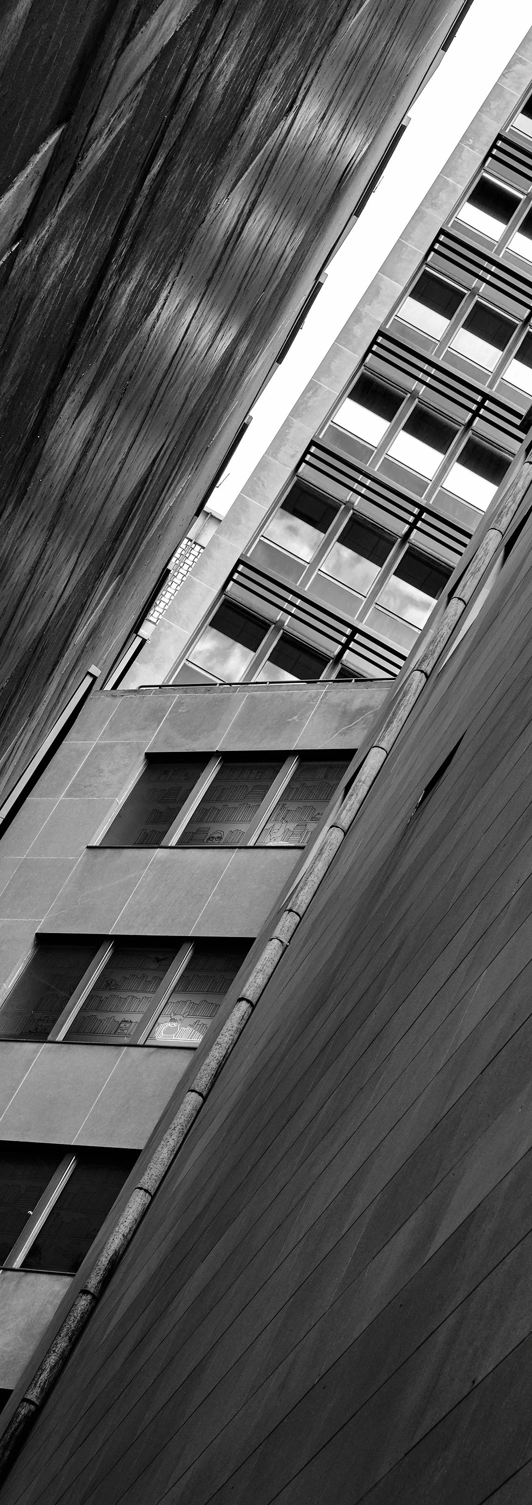DSCF2096 copy xpan web.jpg