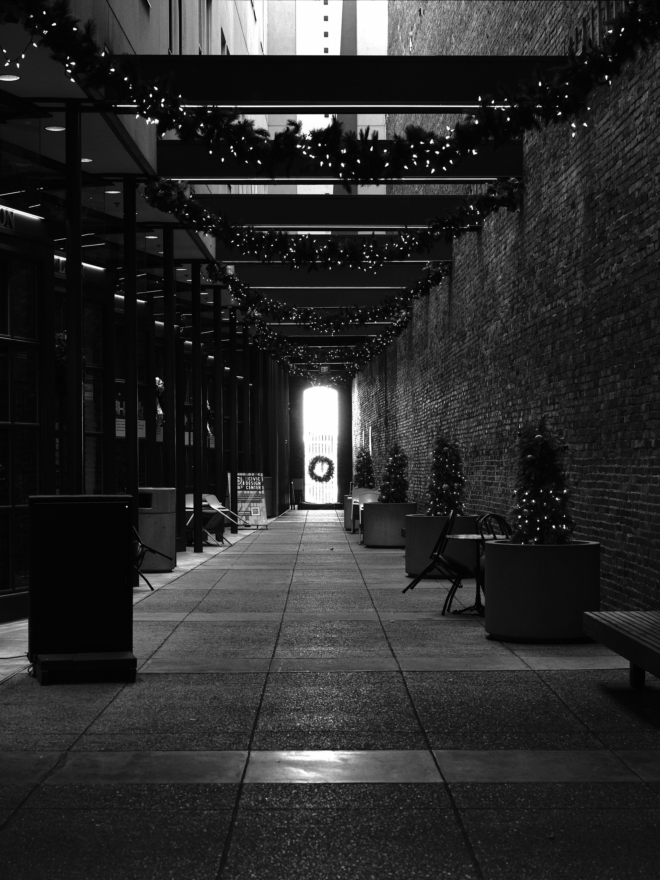 DSCF6964 copy web.jpg