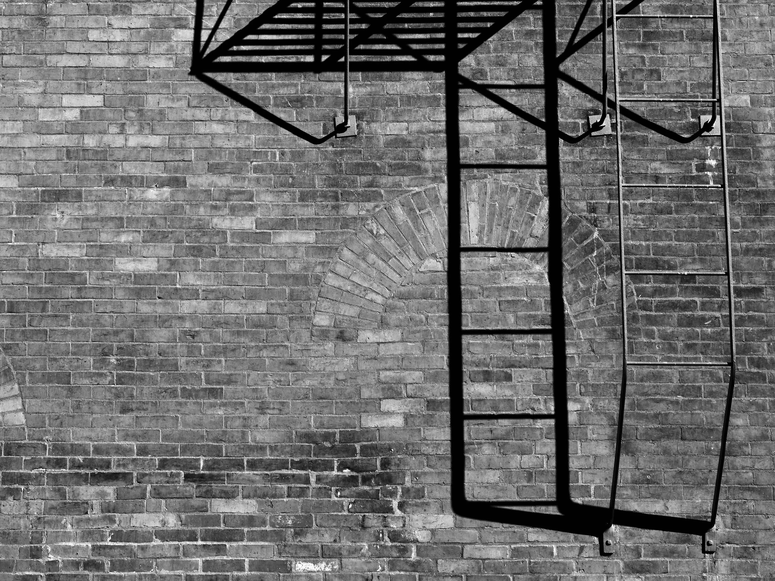 DSCF6978 copy bw web.jpg