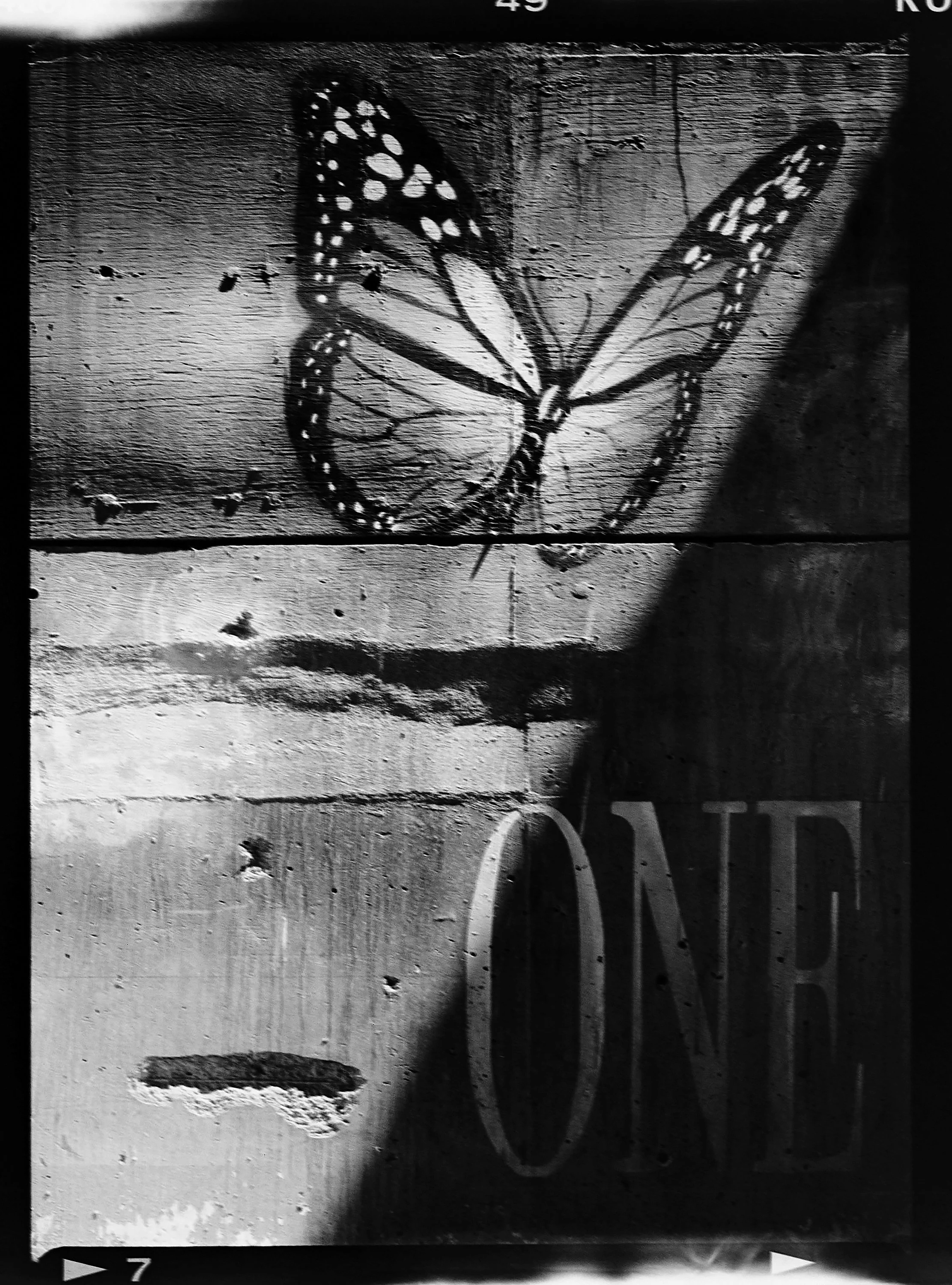 DSCF1802 copy web.jpg