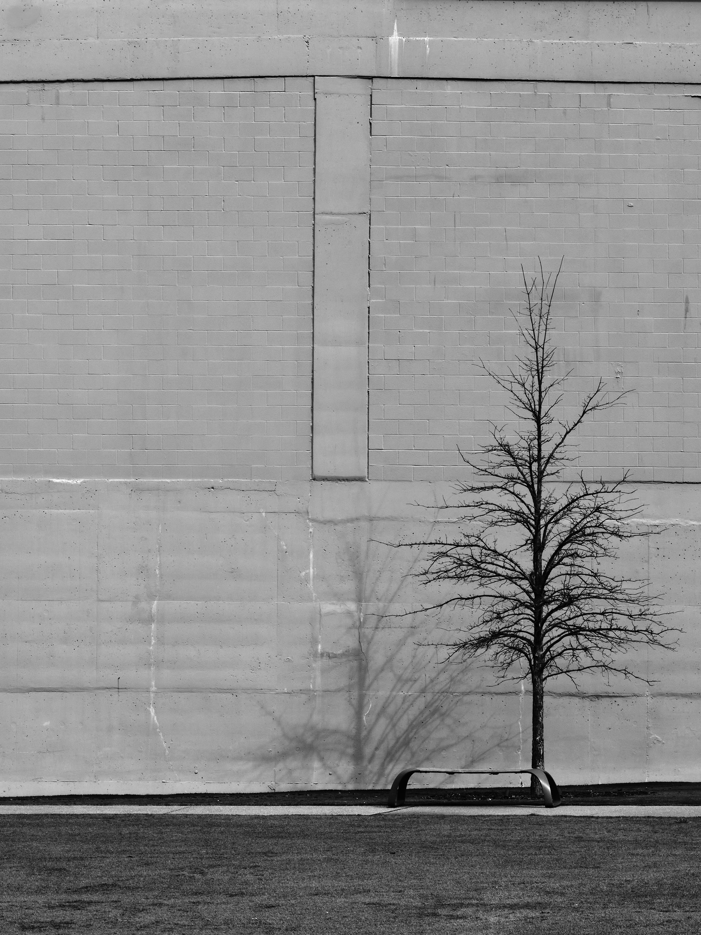 DSCF1826 copy web.jpg