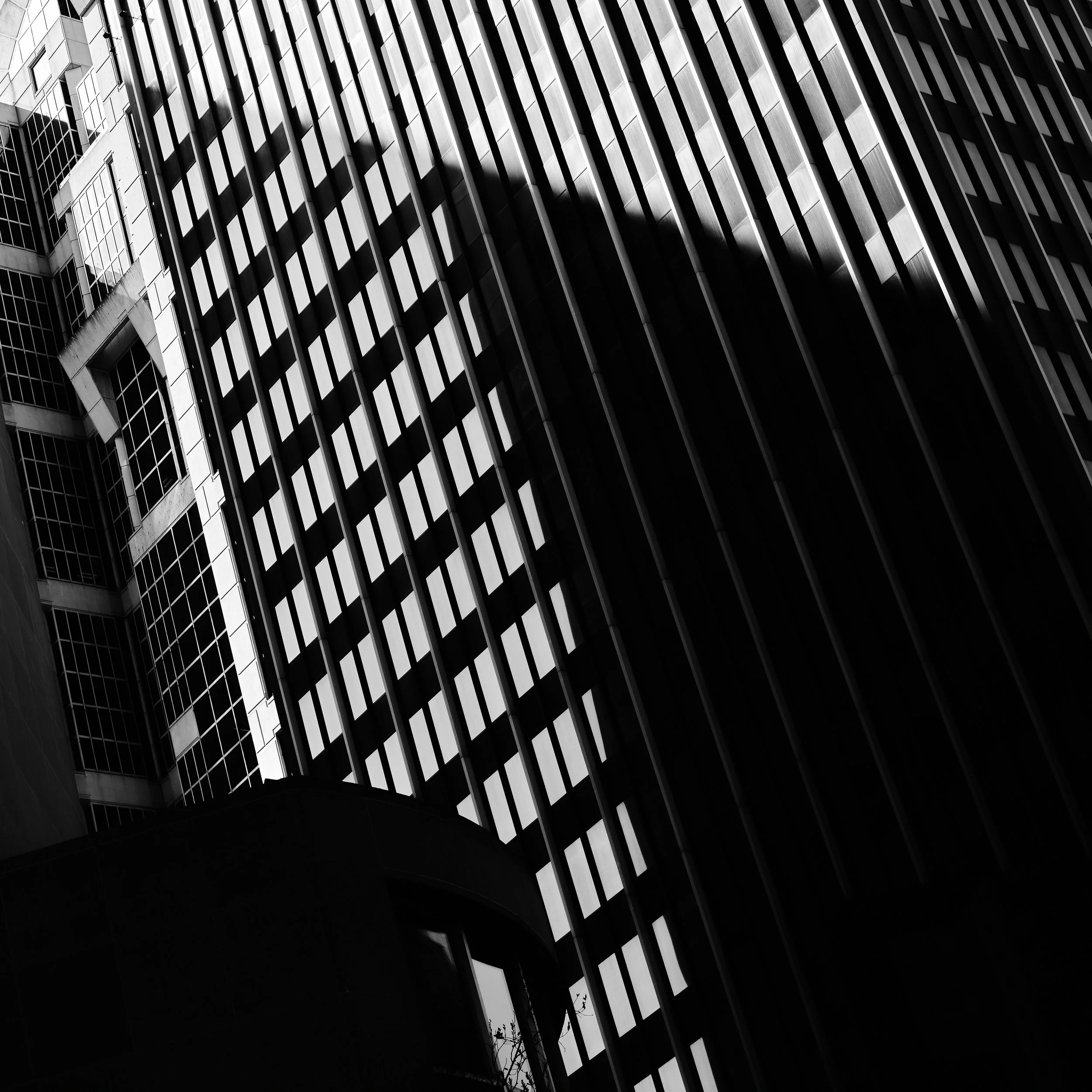 DSCF2847 copy web.jpg