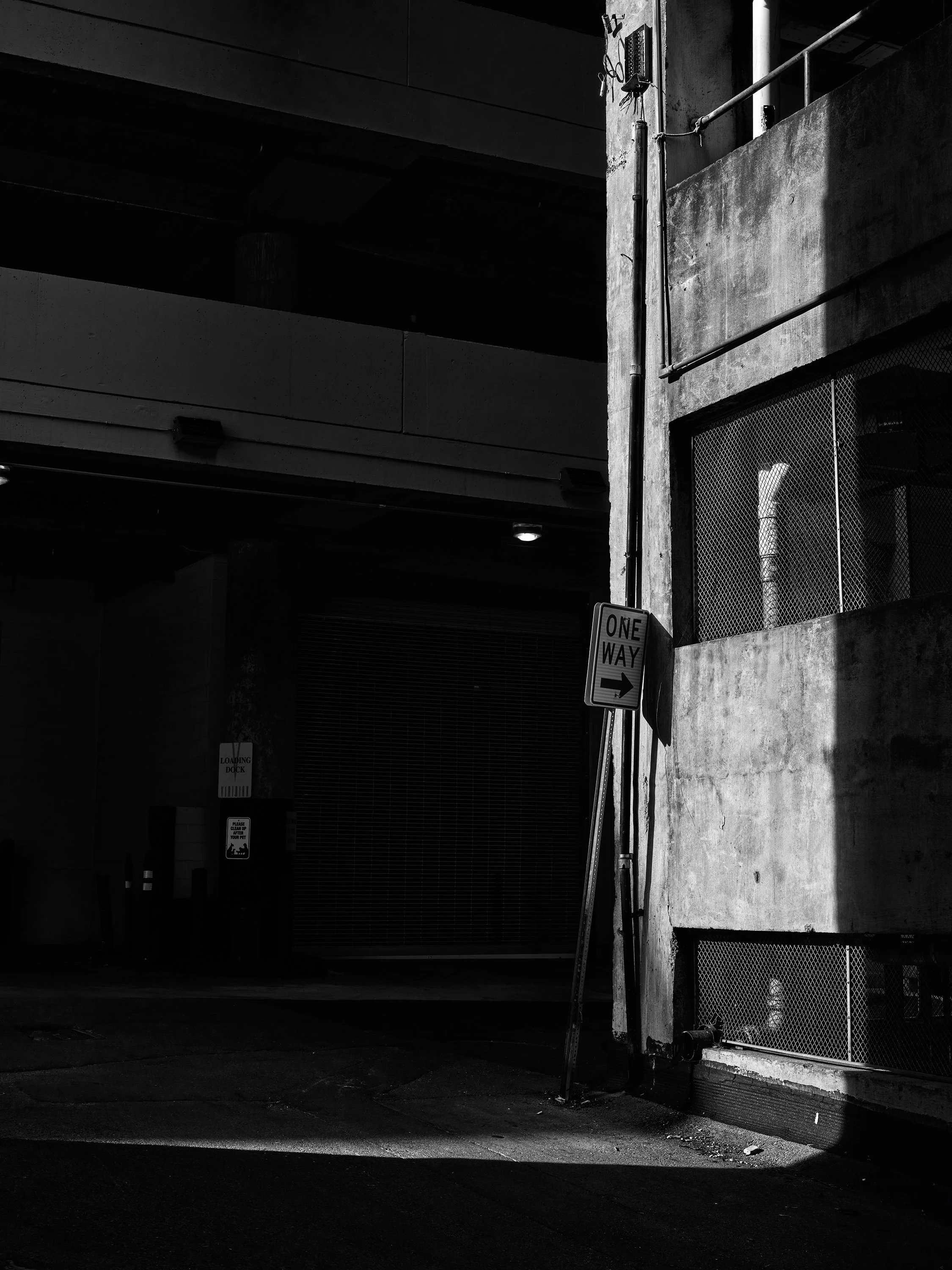 DSCF6089 copy web.jpg