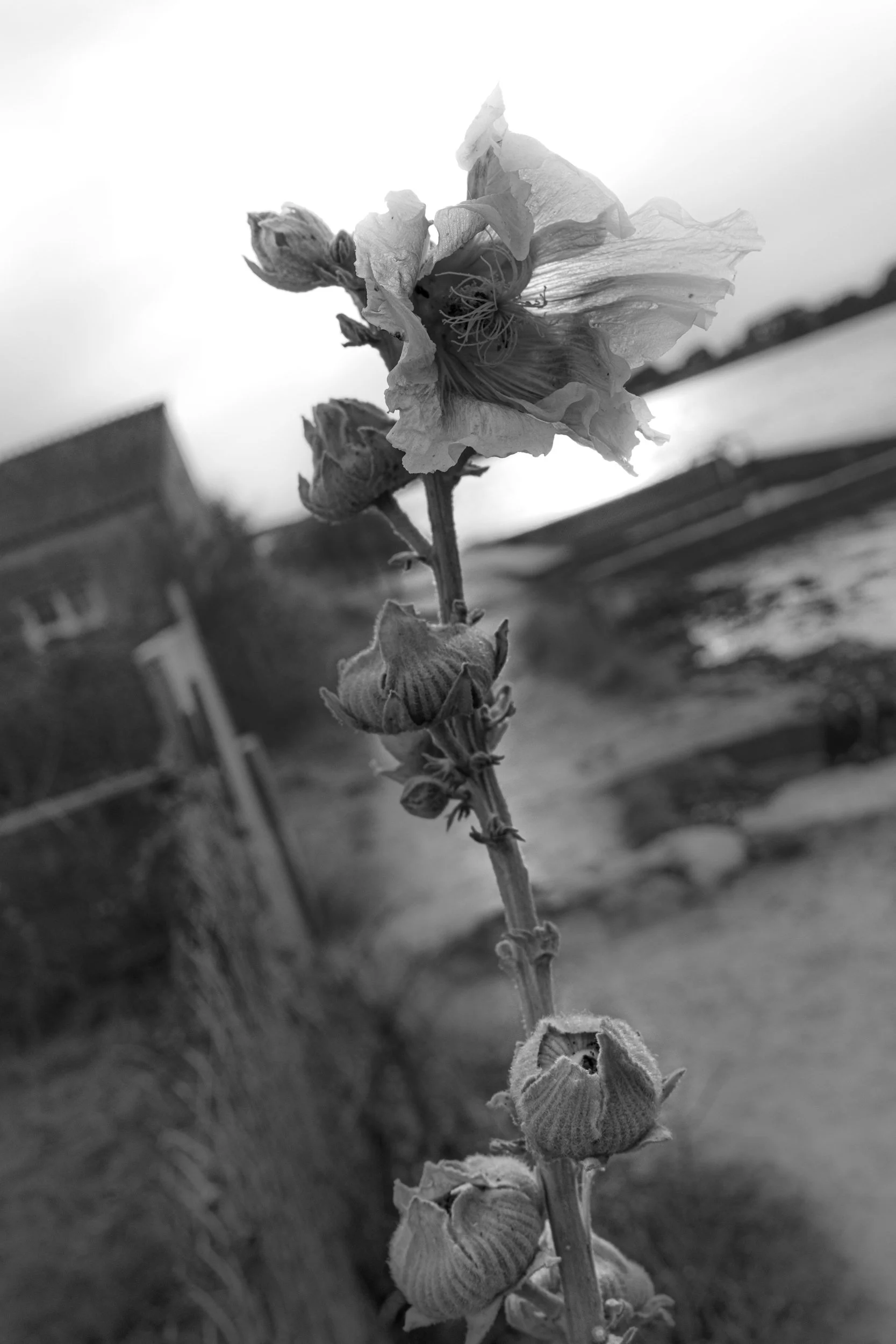 _R001983-Edit.jpg