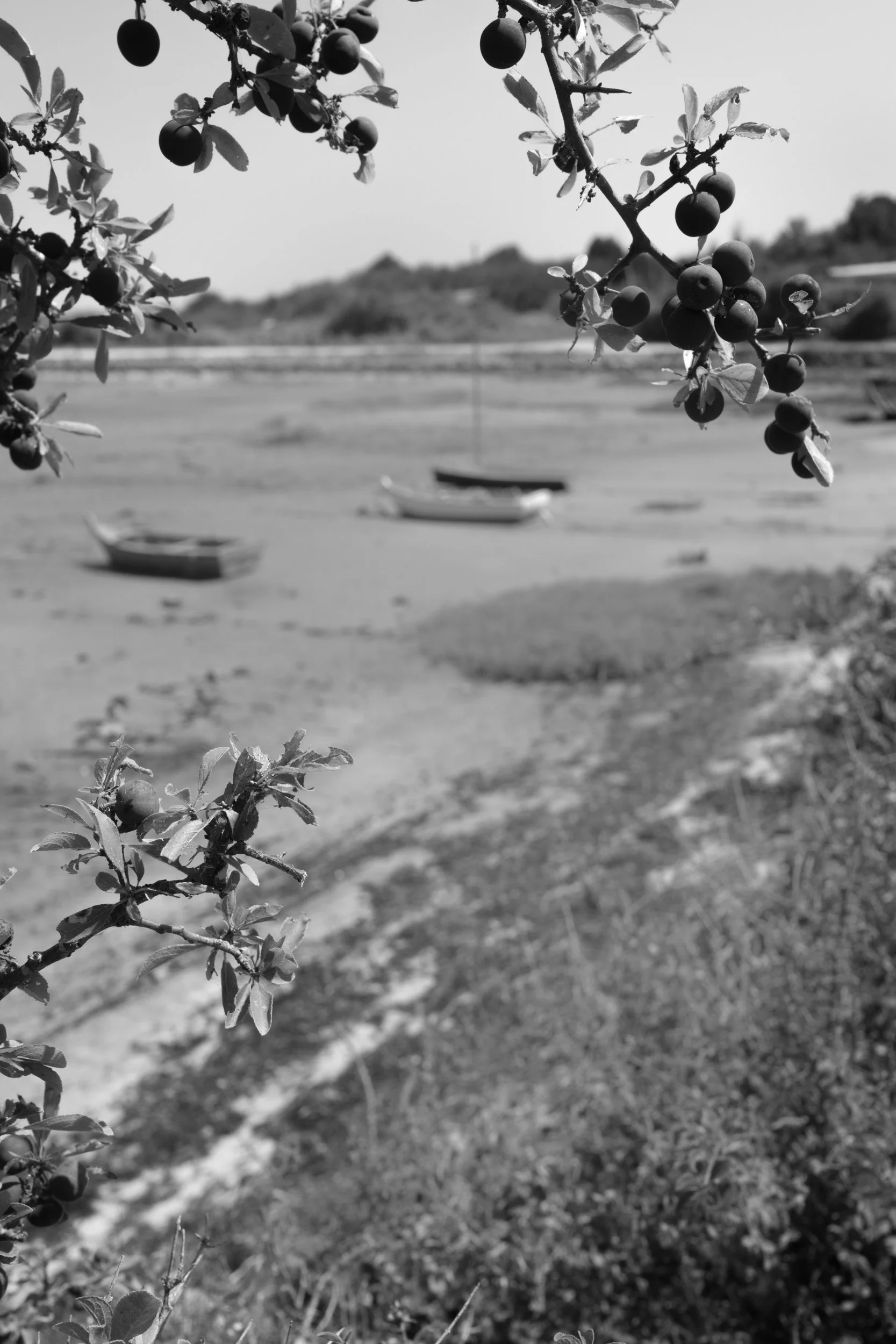 _R001874-Edit.jpg