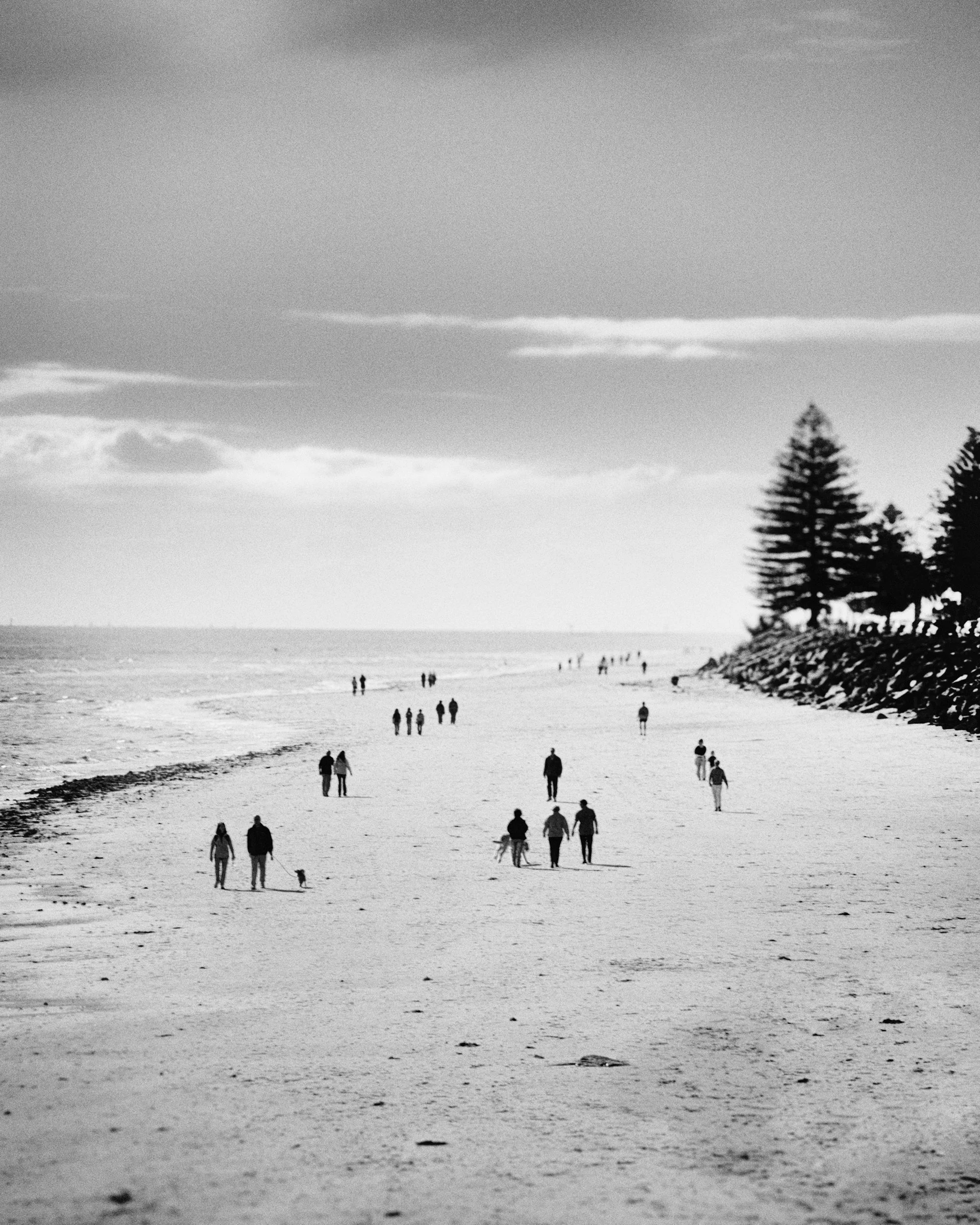Adelaide_156.jpg