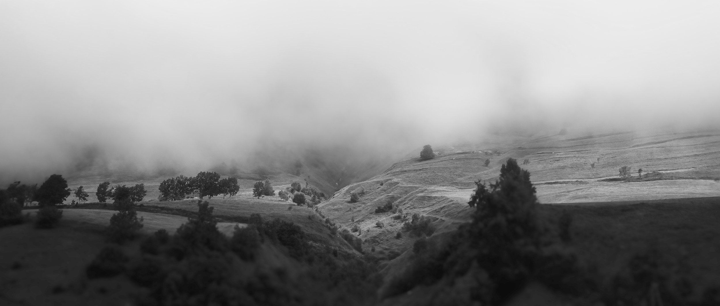 A foggy landscape scene with rolling hills, scattered trees, and cloudy sky in black and white.