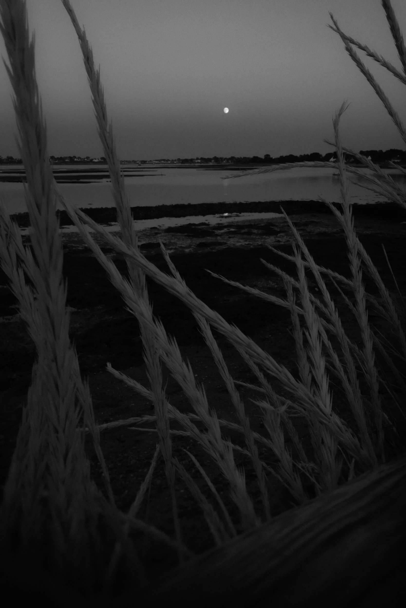 _R001657-Edit.jpg