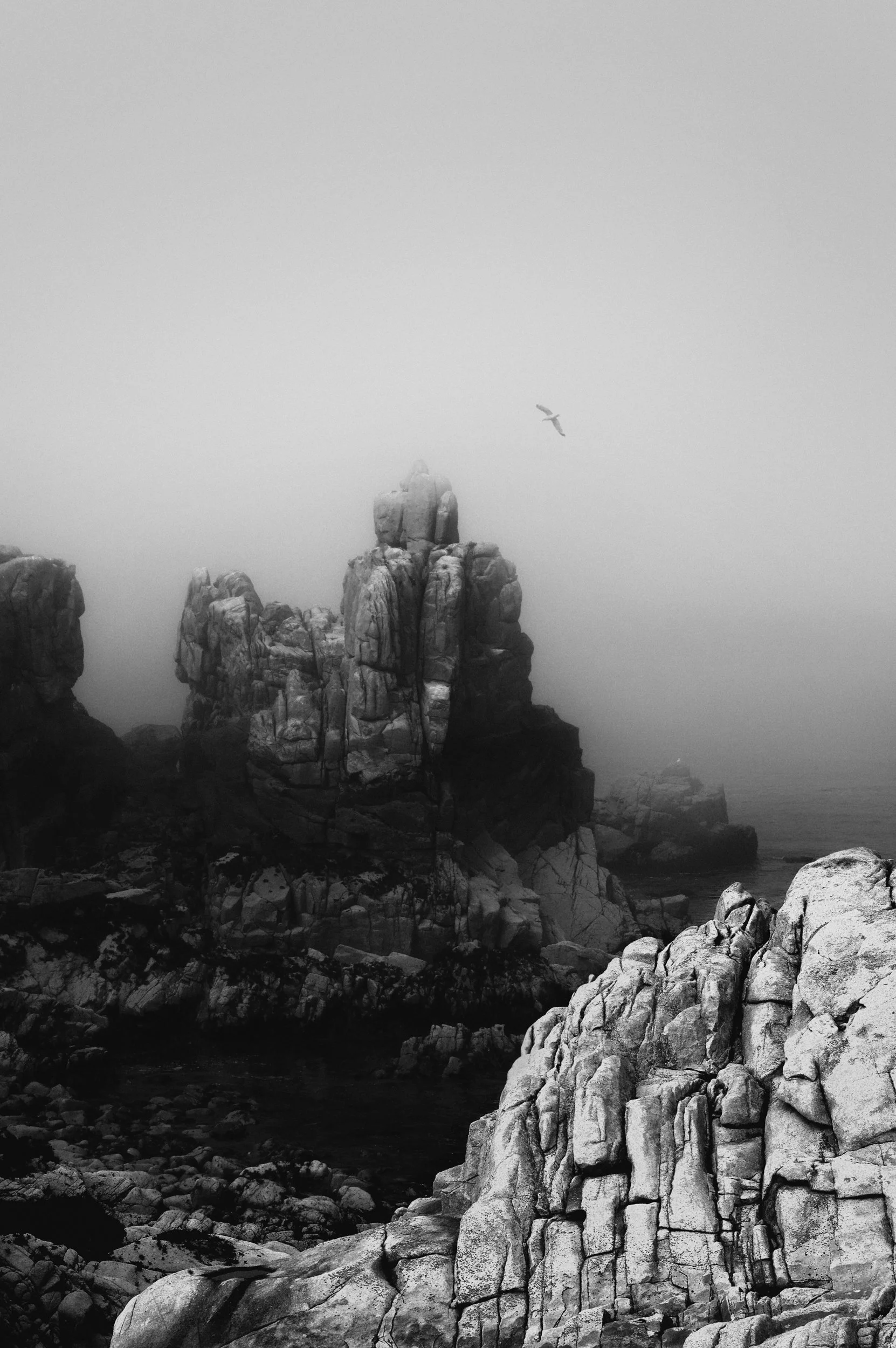 Black and white photo of rugged rock formations with a bird flying in the misty sky above.