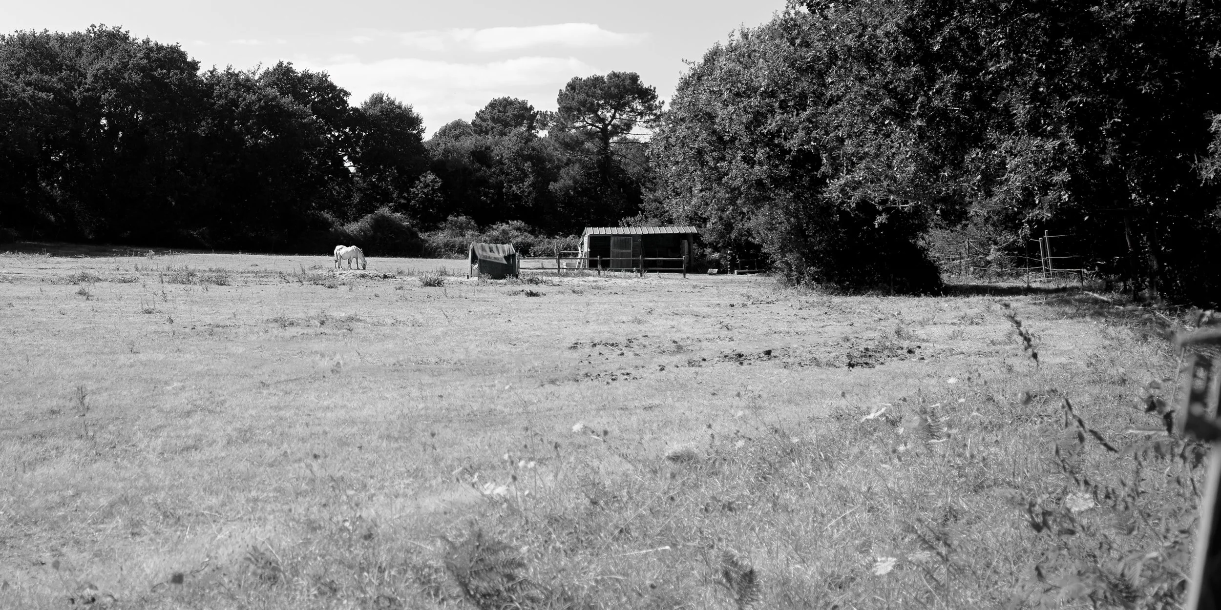 _R001345-Edit.jpg
