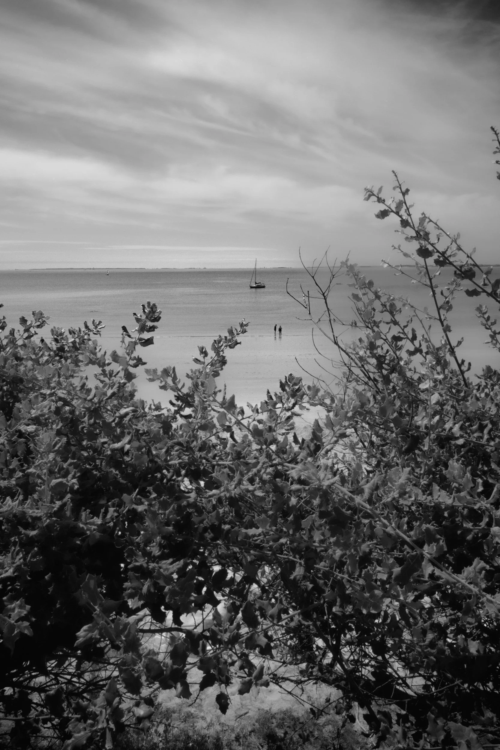 _R002097-Edit.jpg