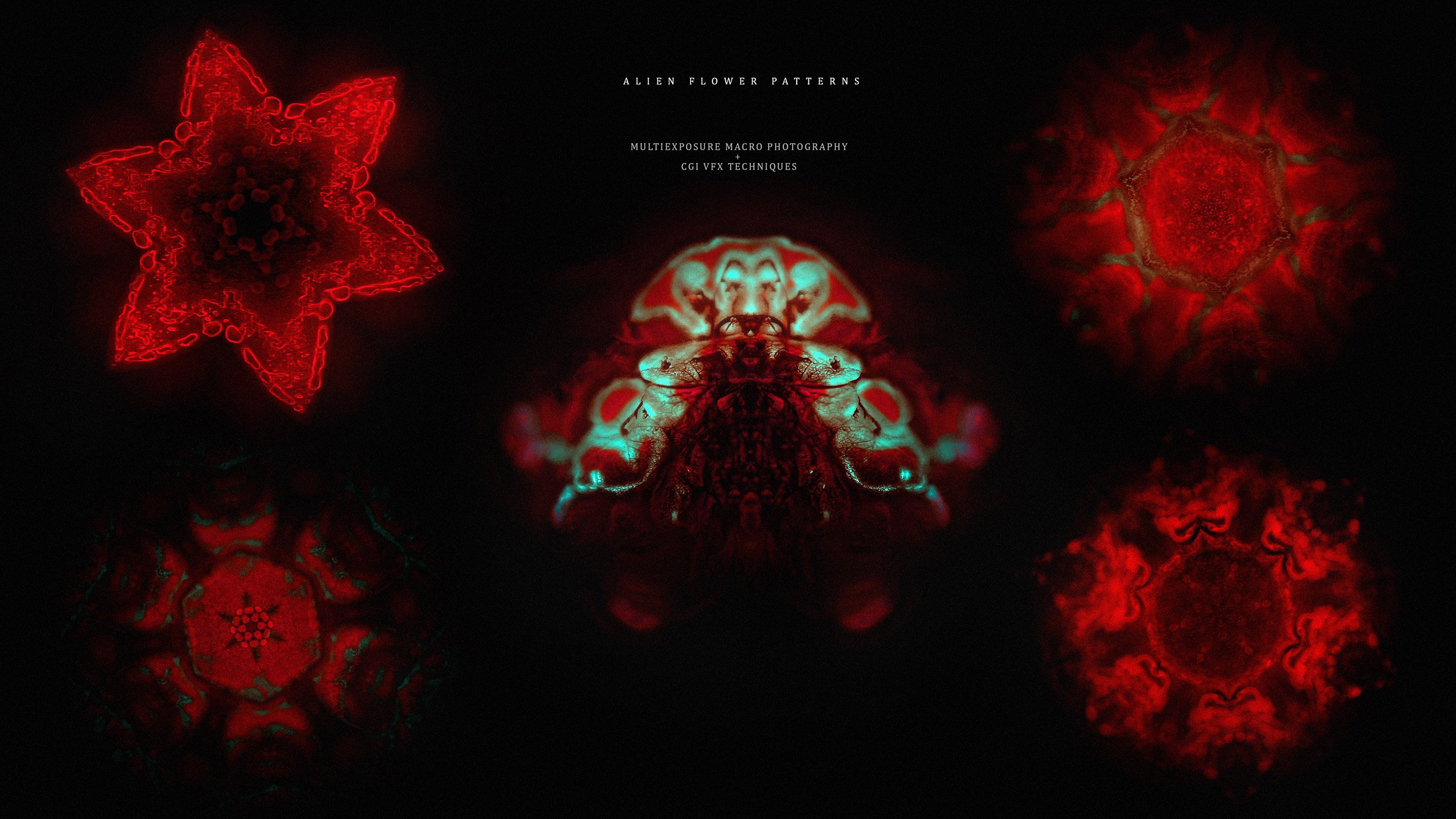 ABSTRACT ORGANIC - VARIOUS
