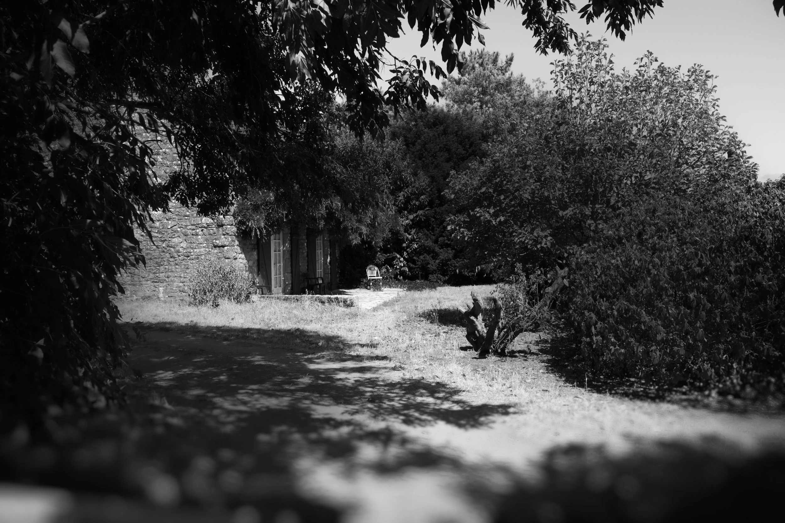 _R001262-Edit.jpg