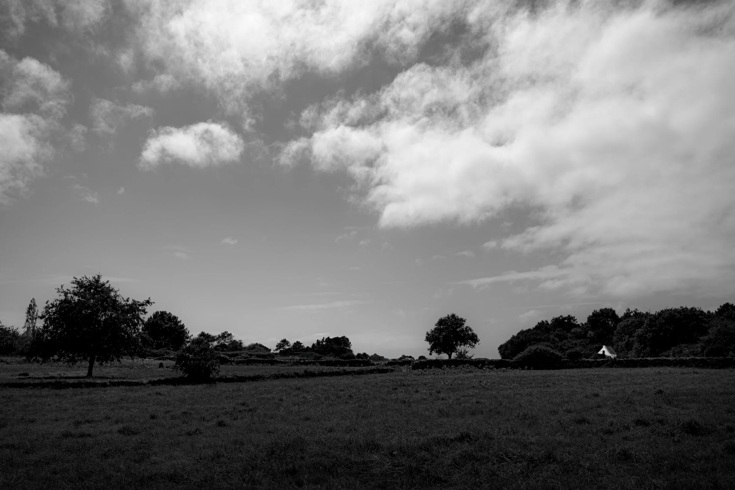 _R001280-Edit.jpg