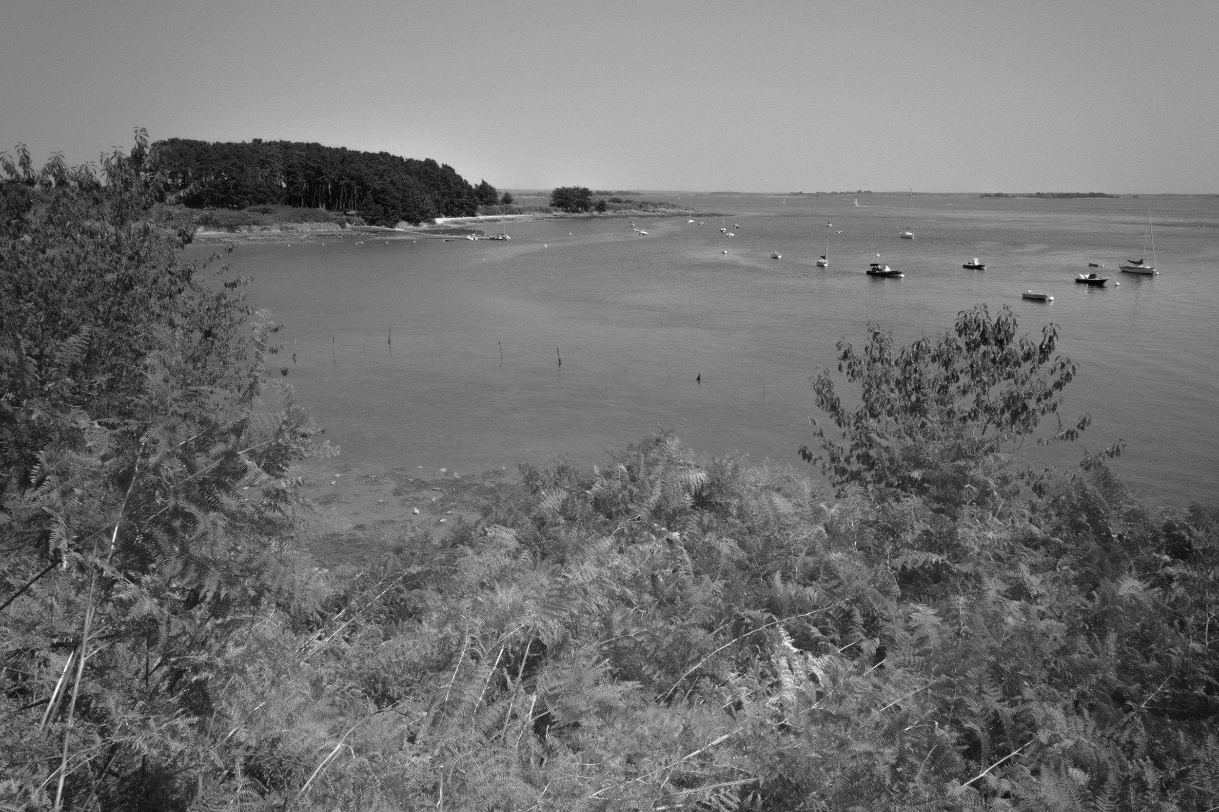 _R001862-Edit.jpg