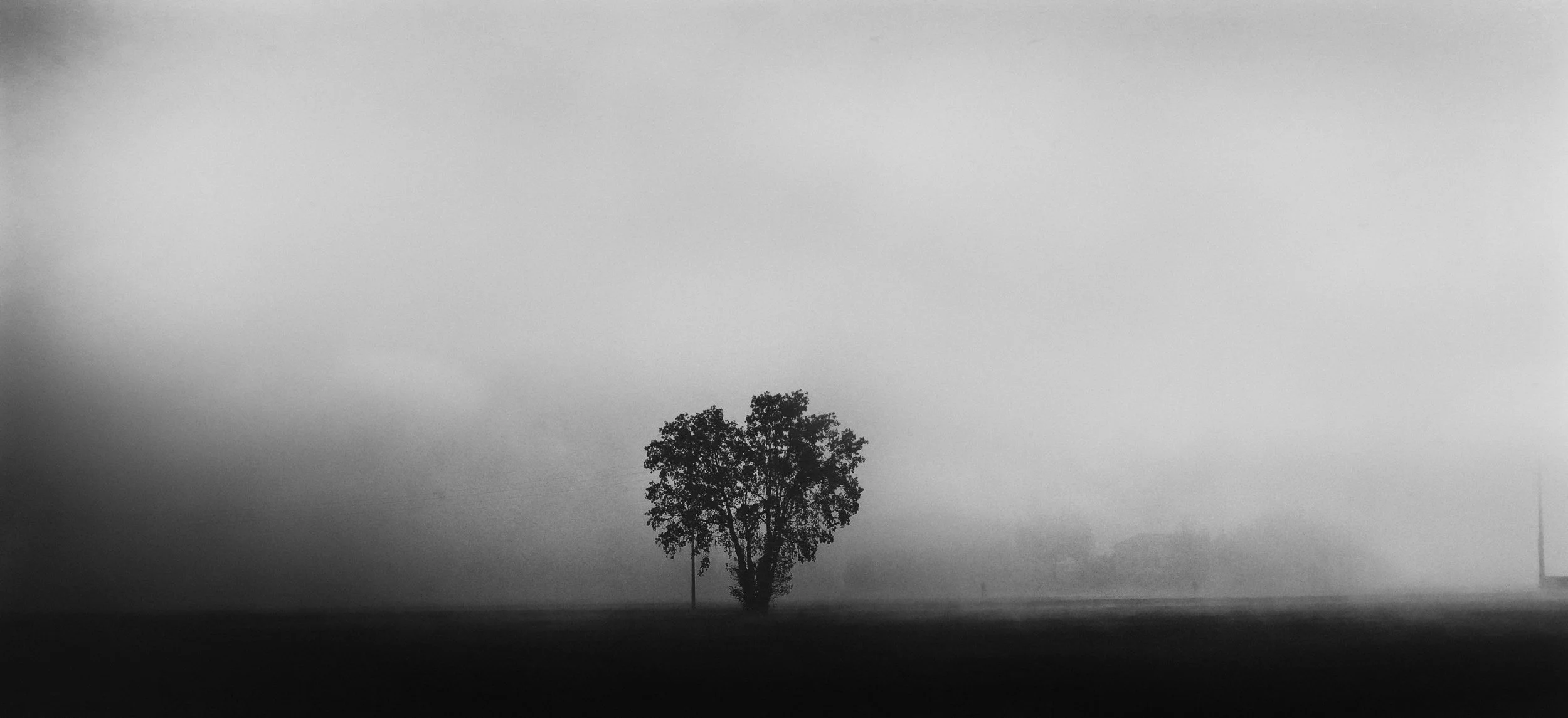 A black and white image of a single tree standing in a foggy landscape with an overcast sky.