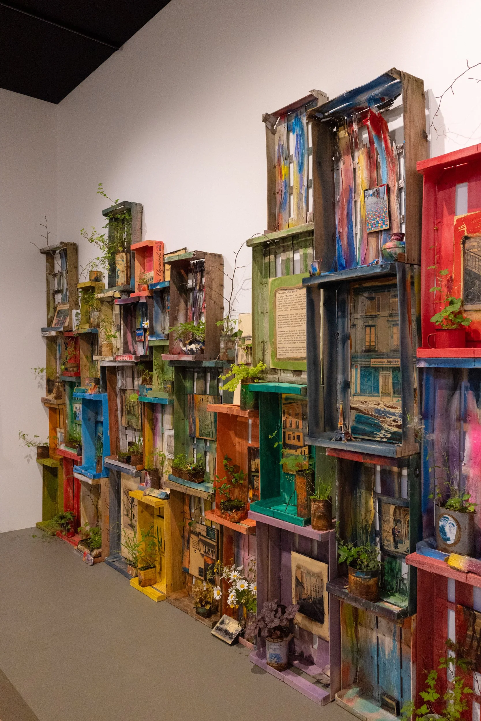 Colorful wooden bookshelves with plants, artwork, and decorative items in an art gallery or exhibition space.