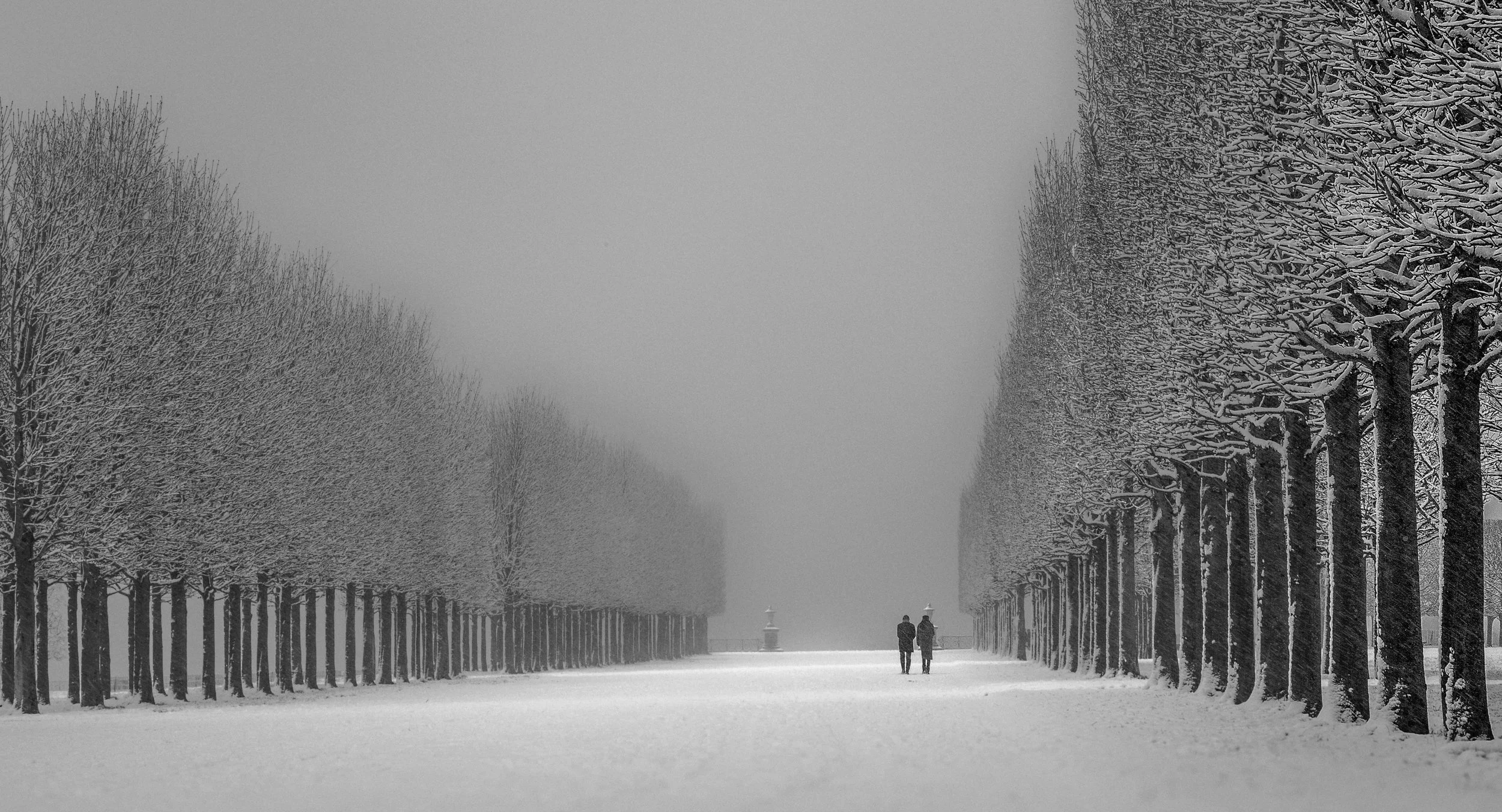 A winter scene with snow-covered trees on either side of a broad pathway. Two people are walking in the distance, and the scene is hazy or foggy.