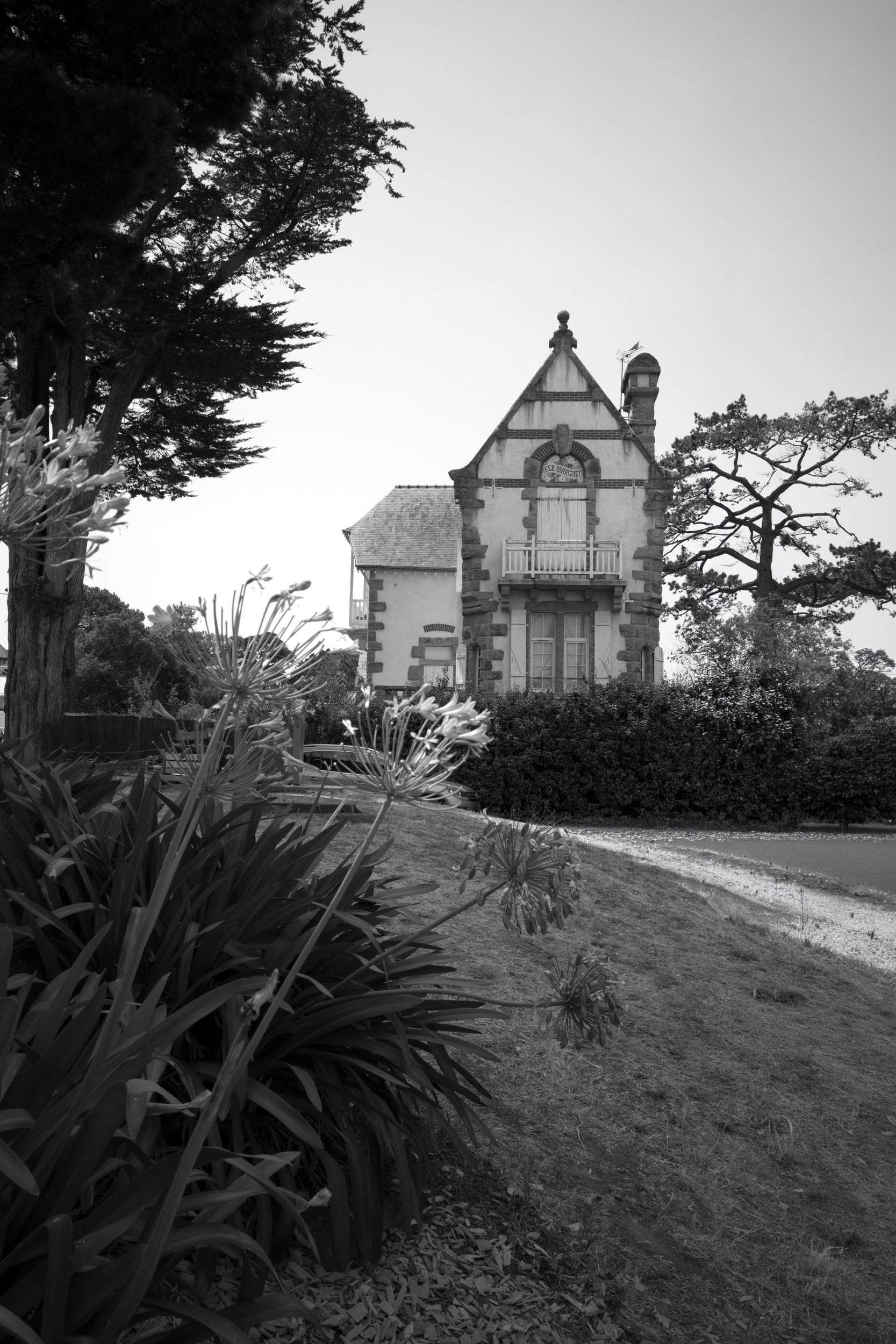 _R001106.jpg