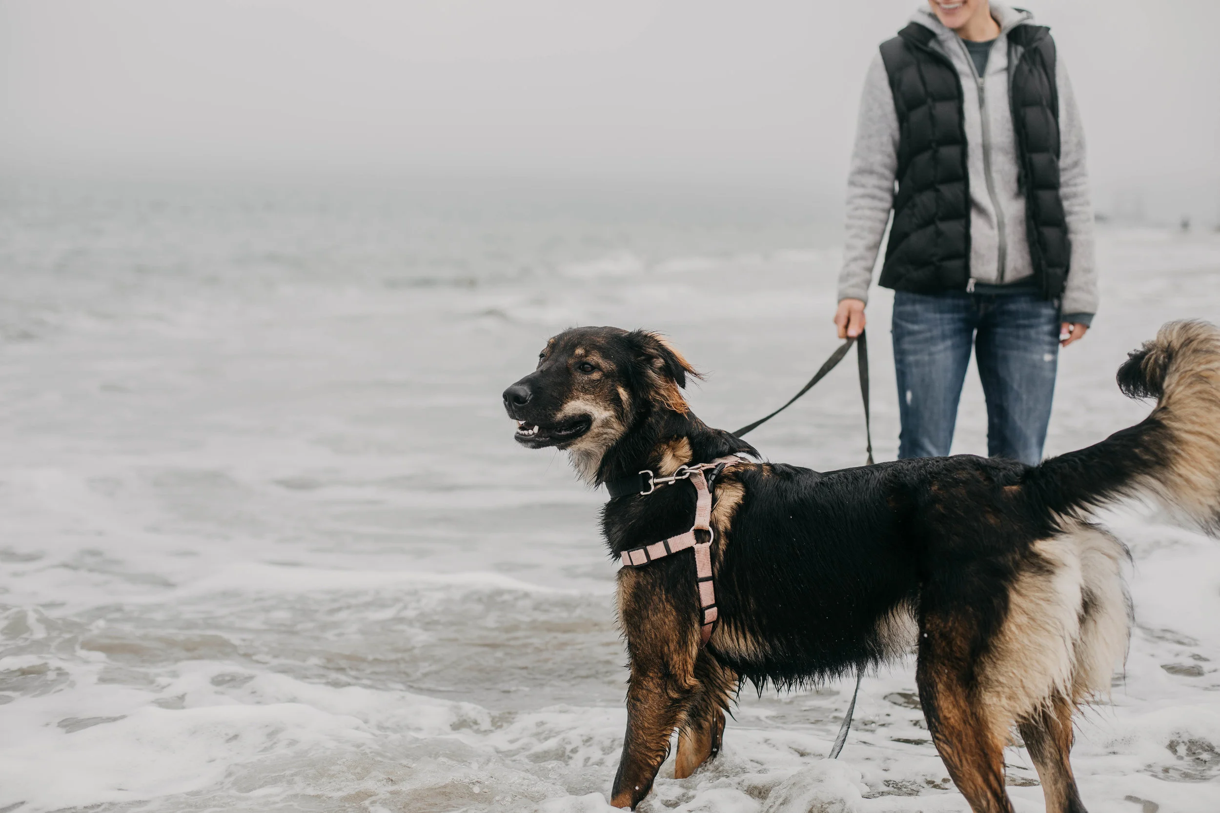 Baker Beach Engagement Photos