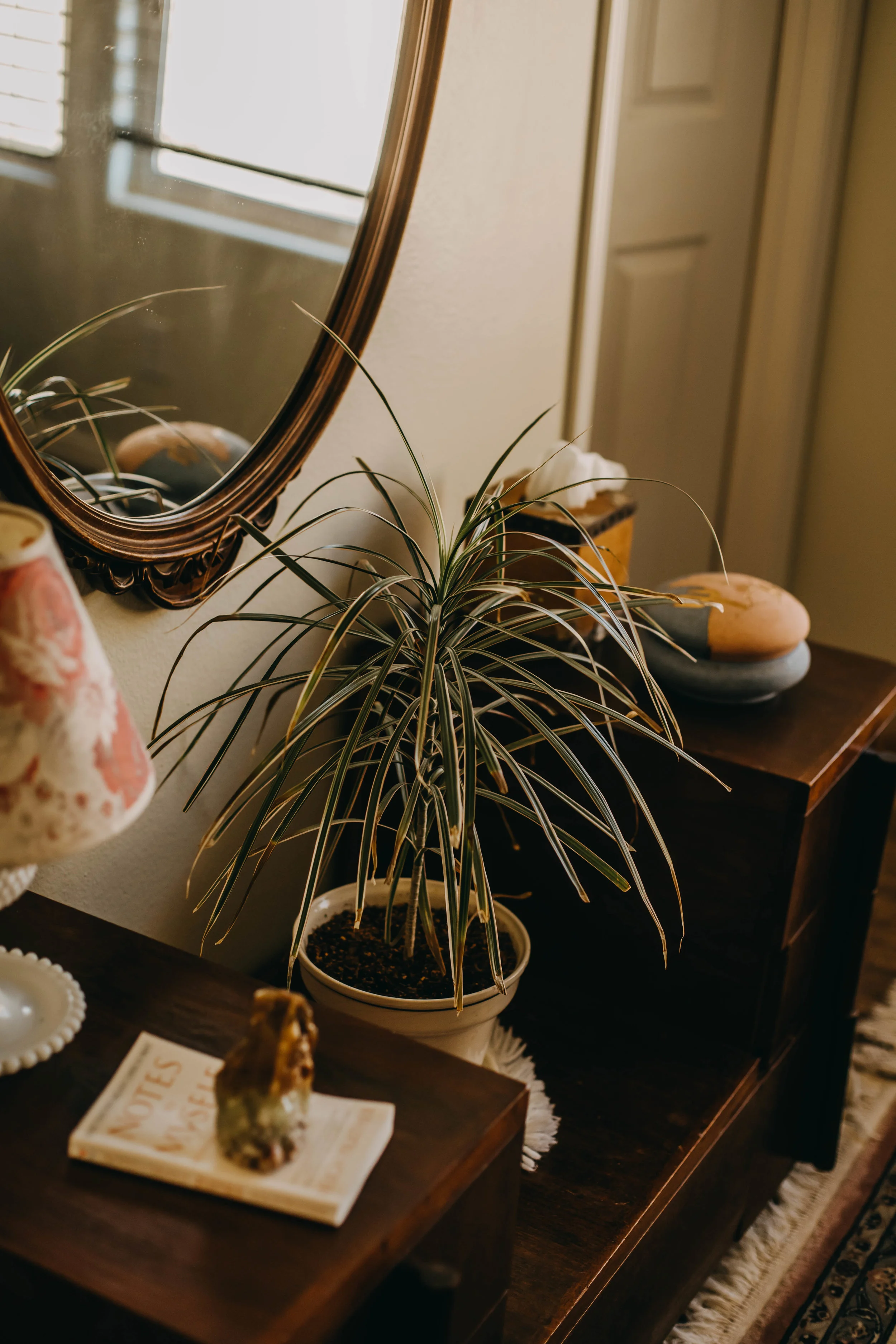 Joshua Tree Airbnb