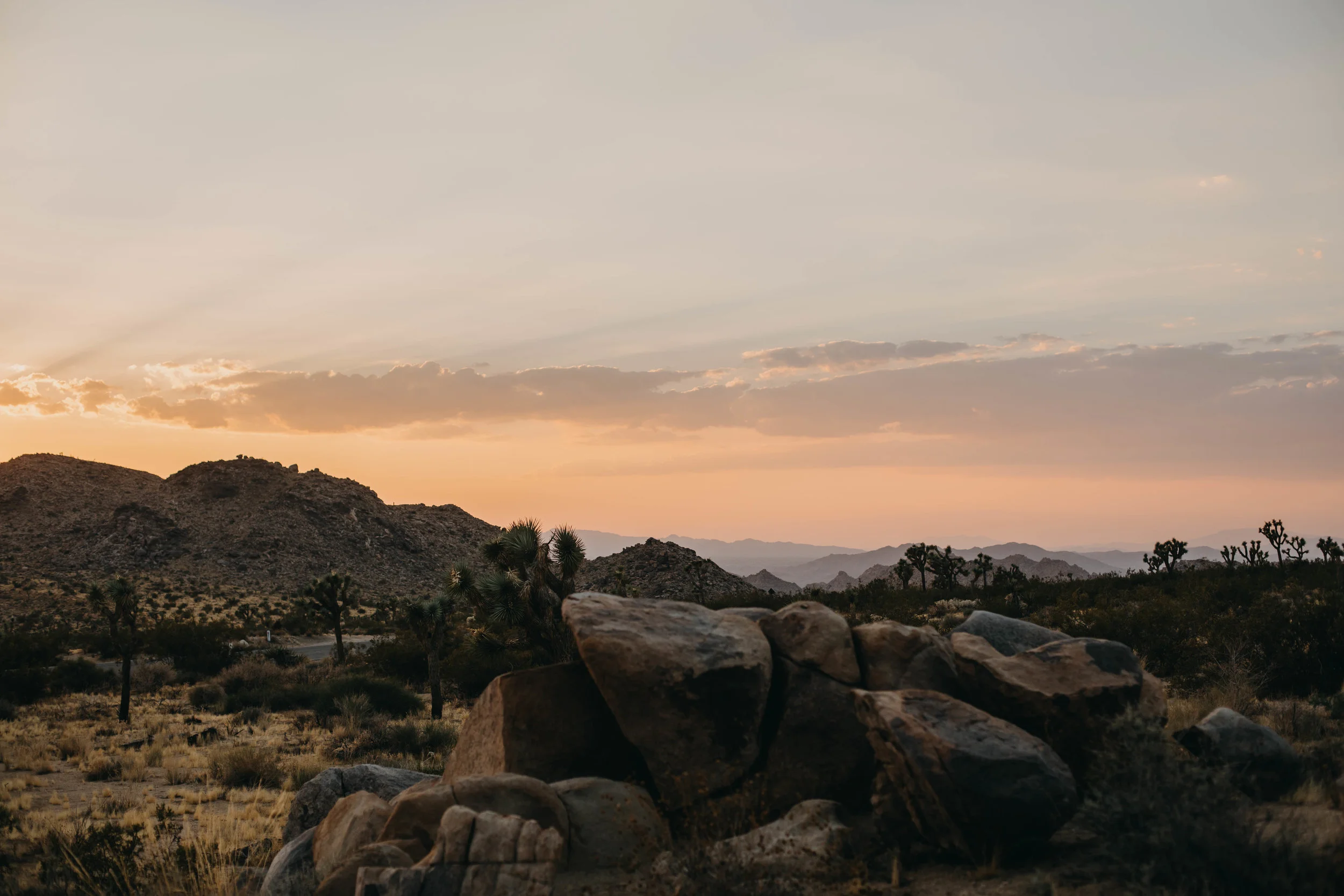 Joshua Tree Sunset Photography
