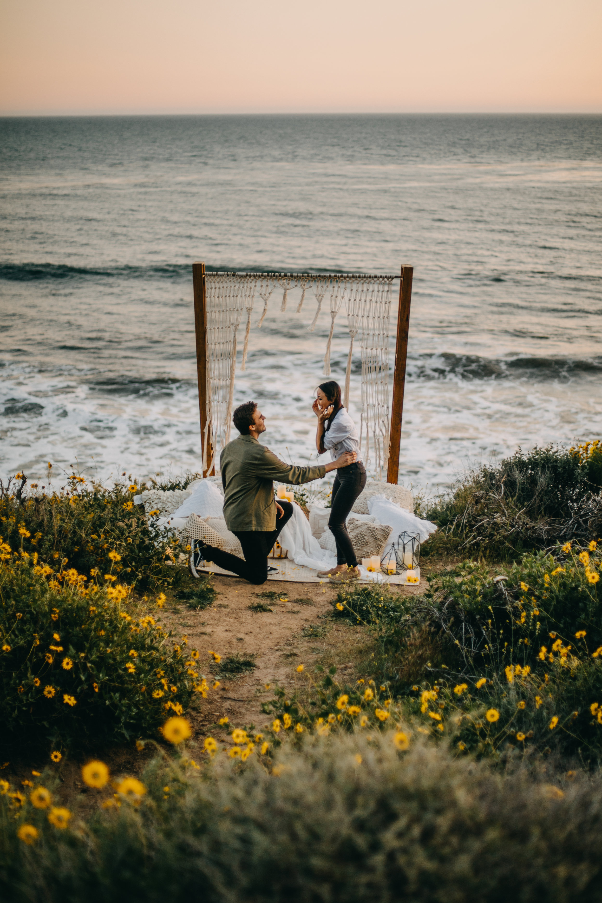 Malibu Beach Proposal